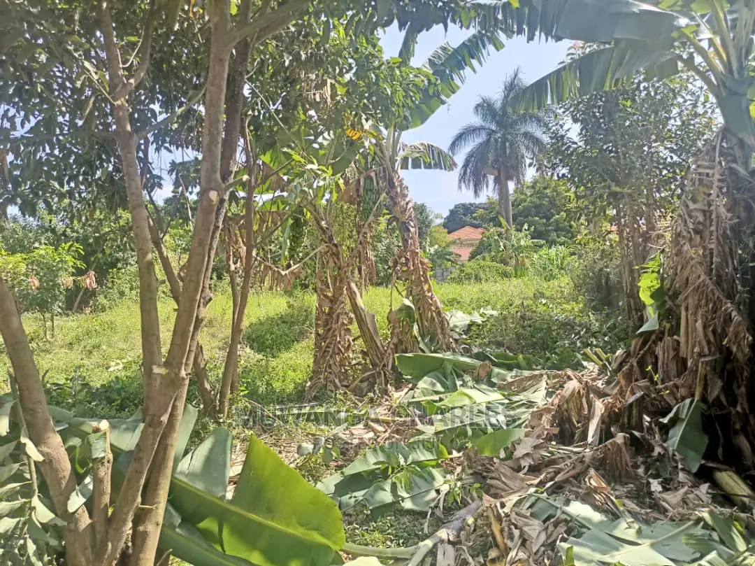 100by70ft Plot for Sale in Kyanja Kungu