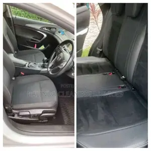 Deep Cleaning in Side the Car
