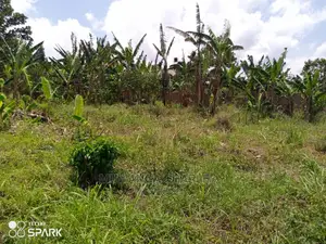 100x100ft Plot of Land for Sale in Bueate