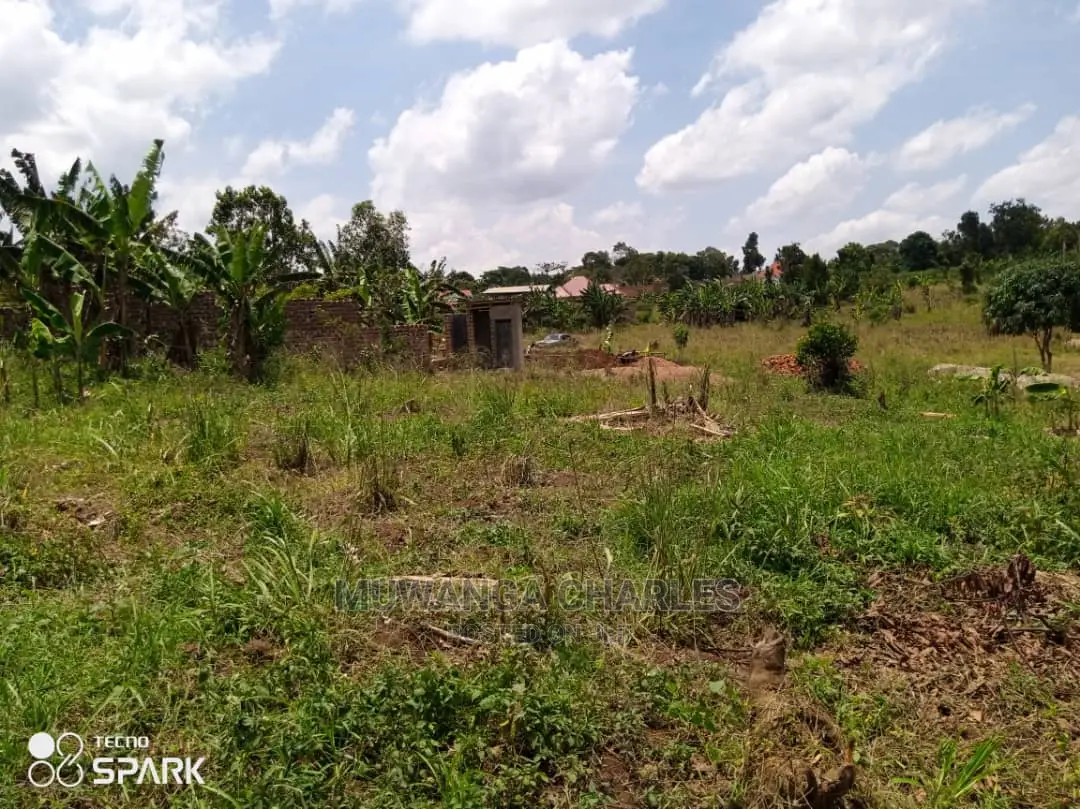 100x100ft Plot of Land for Sale in Bueate