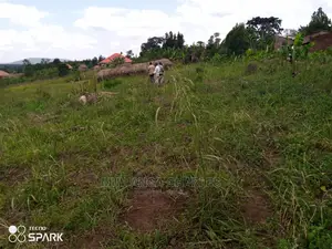 100x100ft Plot of Land for Sale in Bueate