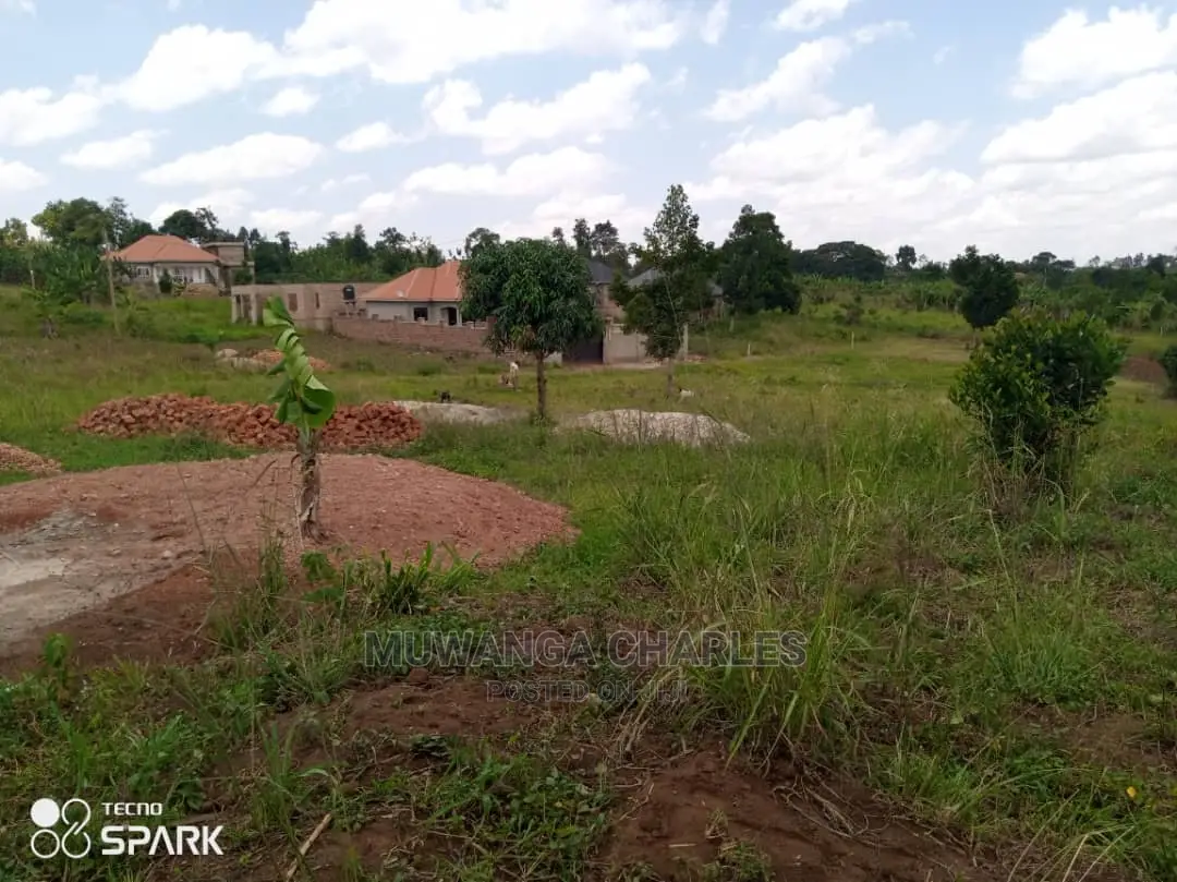 100x100ft Plot of Land for Sale in Bueate