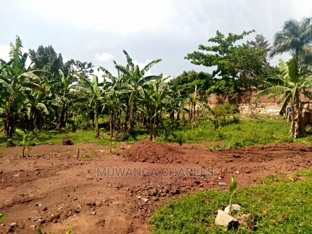 100x70ft Plot of Land for Sale in Buwate
