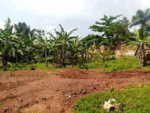 100x70ft Plot of Land for Sale in Buwate
