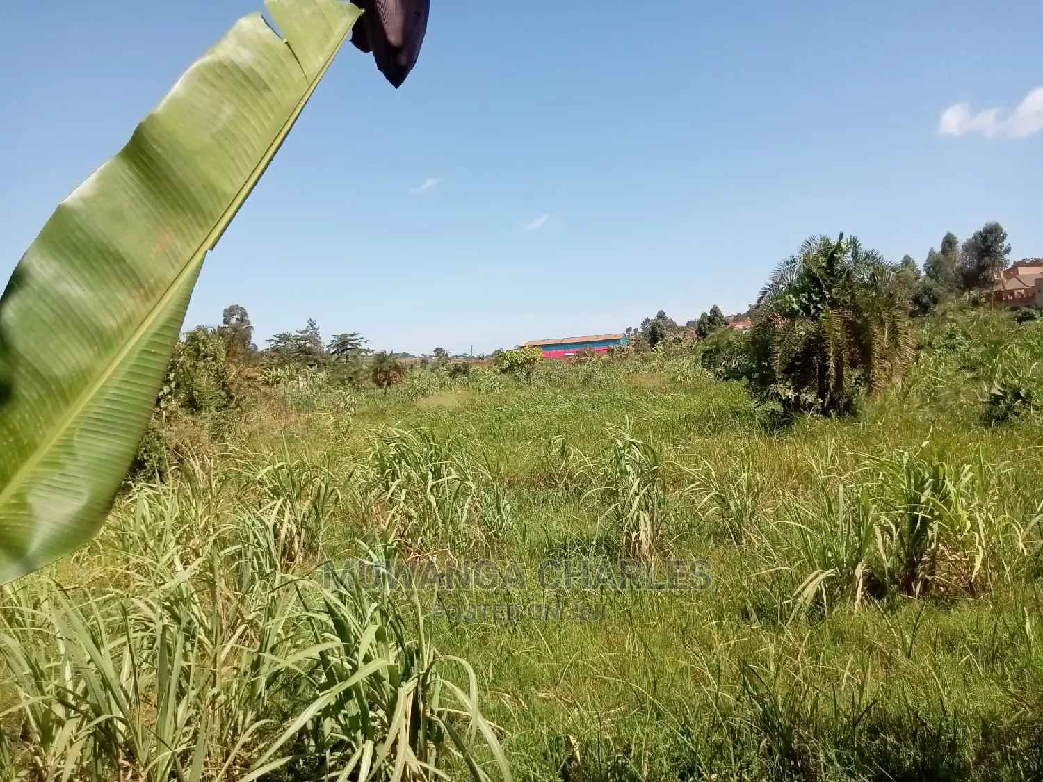 100x70ft Plot of Land for Sale in Buwate