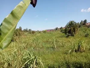 100x70ft Plot of Land for Sale in Buwate