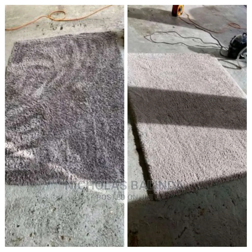 We Are Professional in Cleaning Carpet