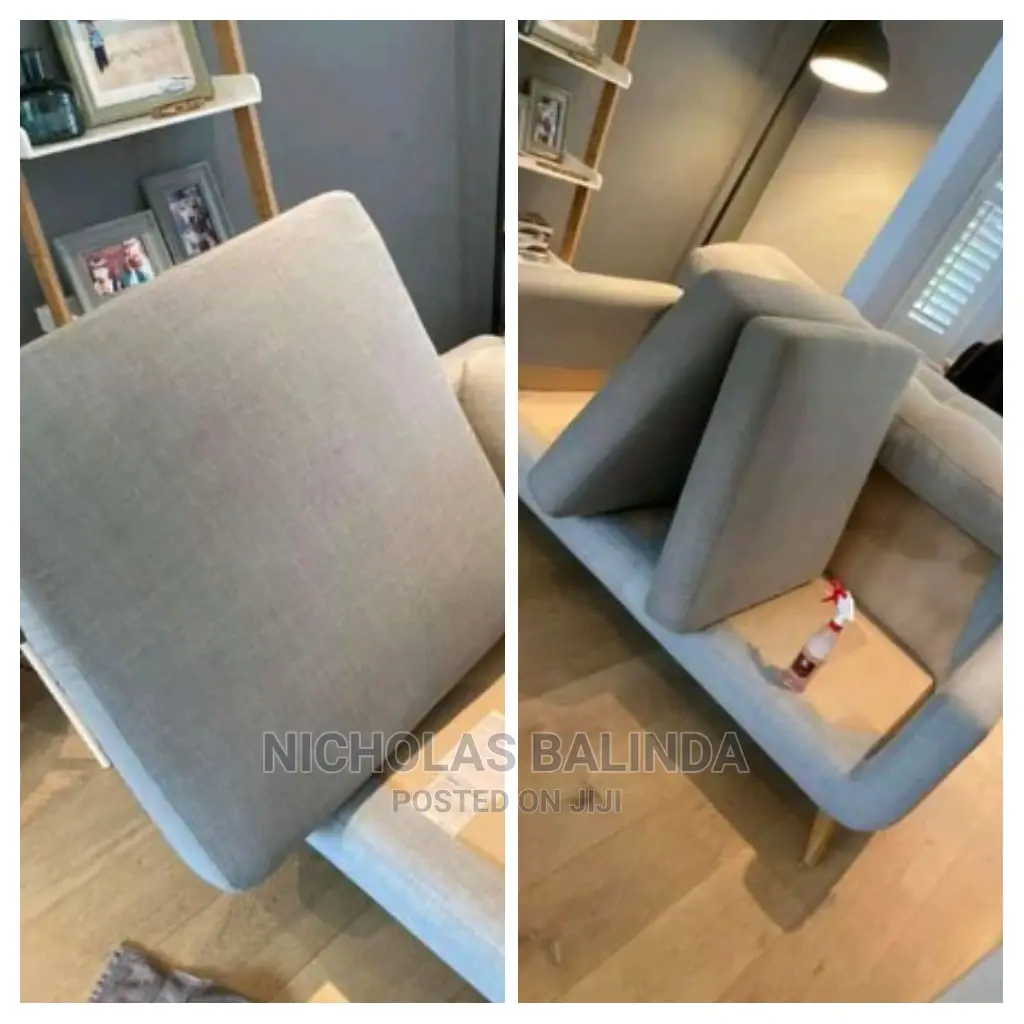 Furniture Cleaning Make Your House to Look Nice
