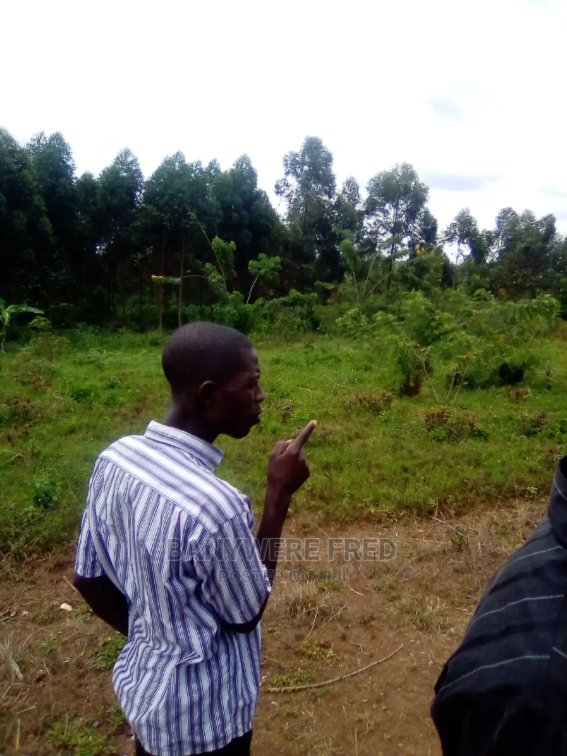 8acres of Farmland for Sale Butalagu