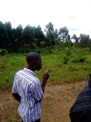 8acres of Farmland for Sale Butalagu