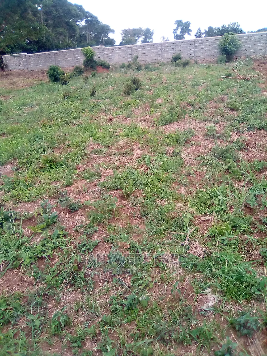 50/100 Plot for Sale in Misindye