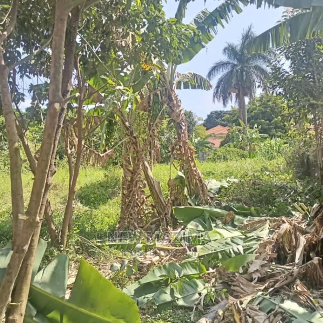 Very Prime 25 Decimals on Quicksale Heart of Muyenga Heights