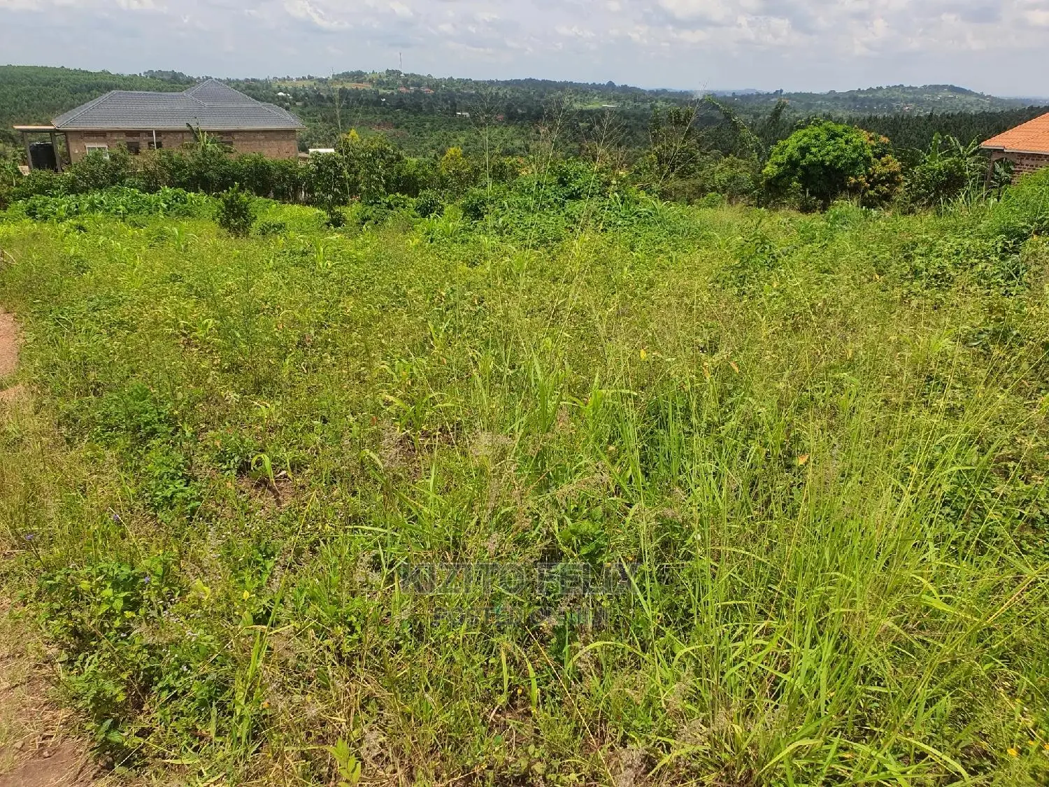 100*50ft Plot in Sema Estate Buwambo. Ready Land Titles