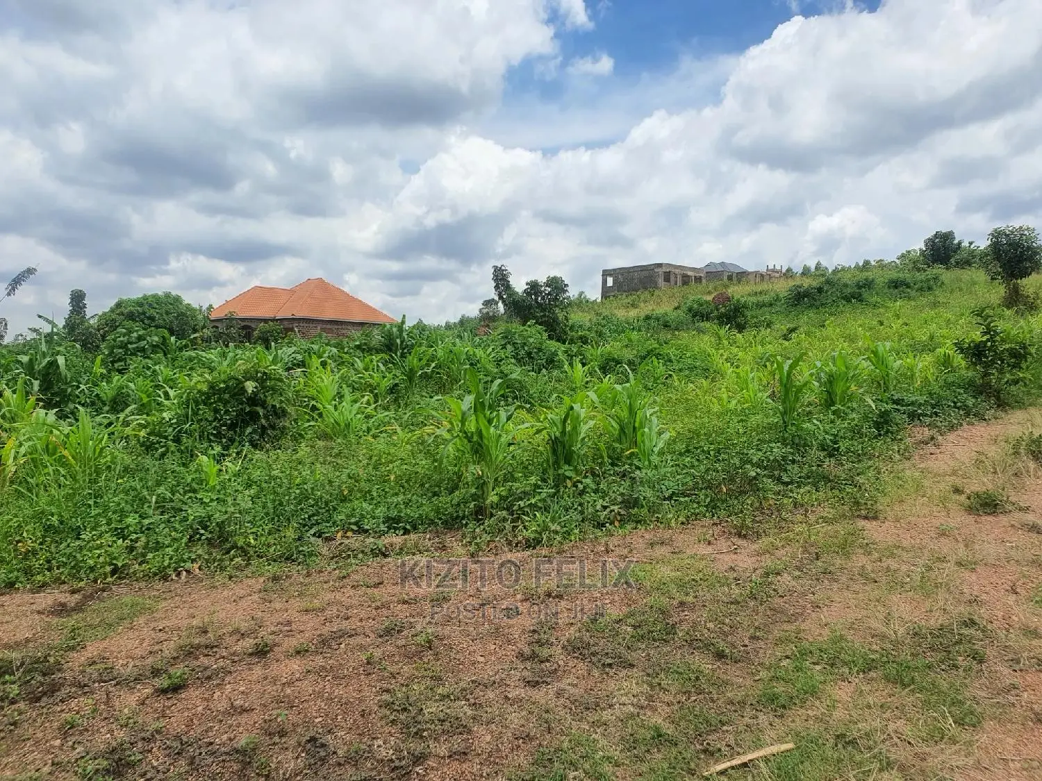 100*50ft Plot in Sema Estate Buwambo. Ready Land Titles