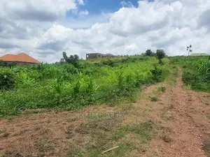 100*50ft Plot in Sema Estate Buwambo. Ready Land Titles