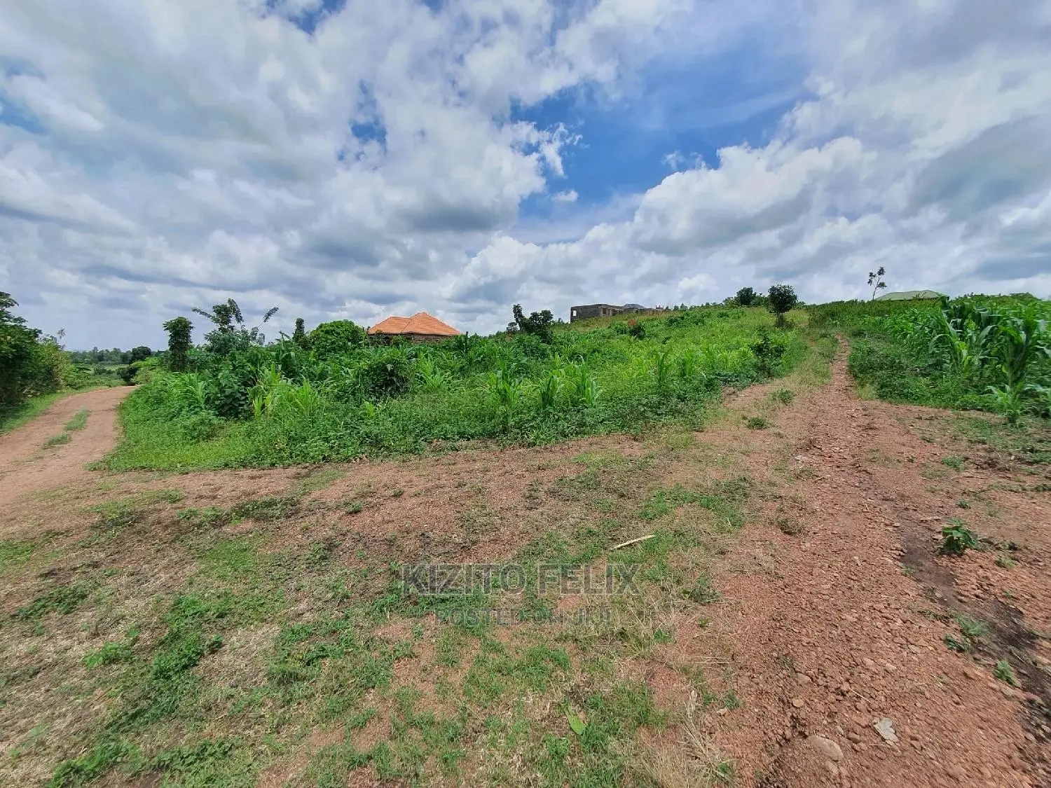 100*50ft Plot in Sema Estate Buwambo. Ready Land Titles