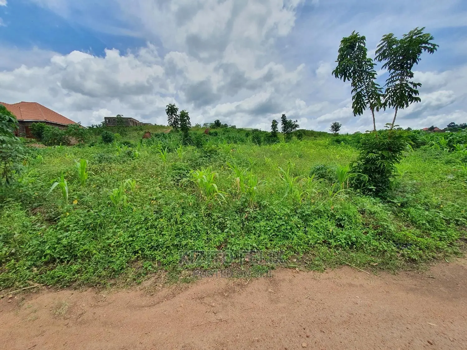 100*50ft Plot in Sema Estate Buwambo. Ready Land Titles