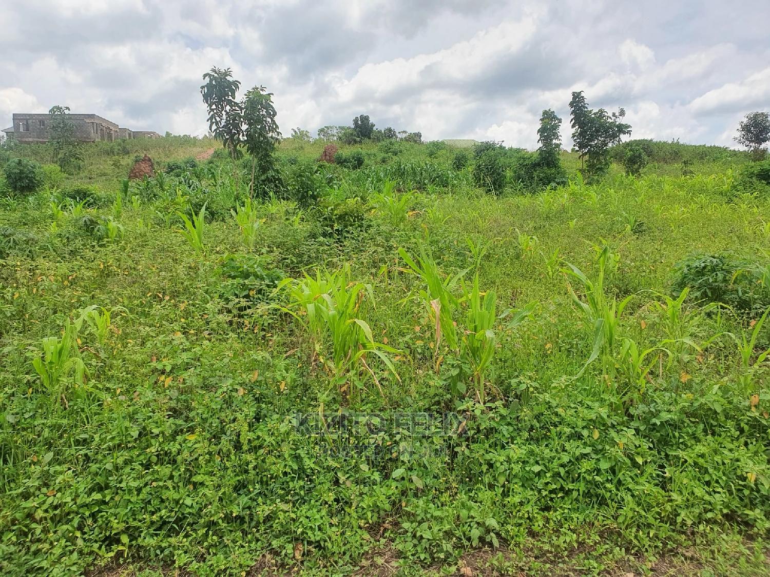 Plots for Sale in Sema Estate Buwambo. Ready Land Titles in Wakiso
