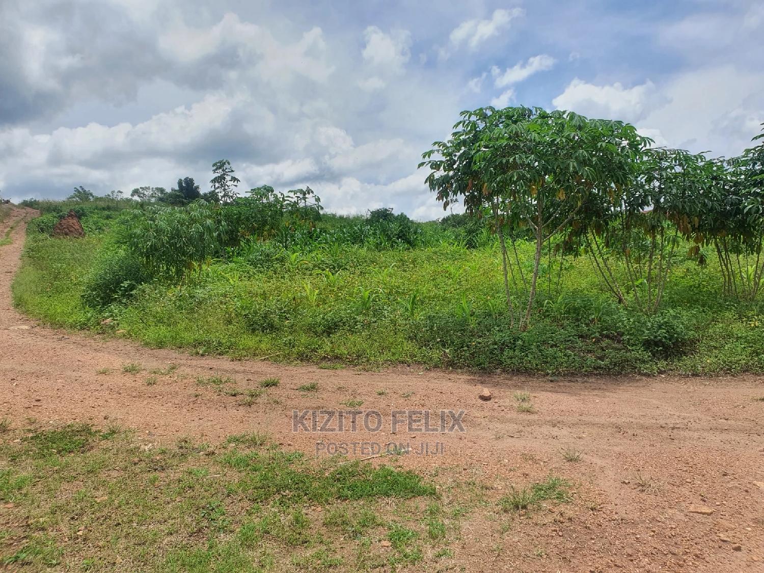 Plots for Sale in Sema Estate Buwambo. Ready Land Titles in Wakiso