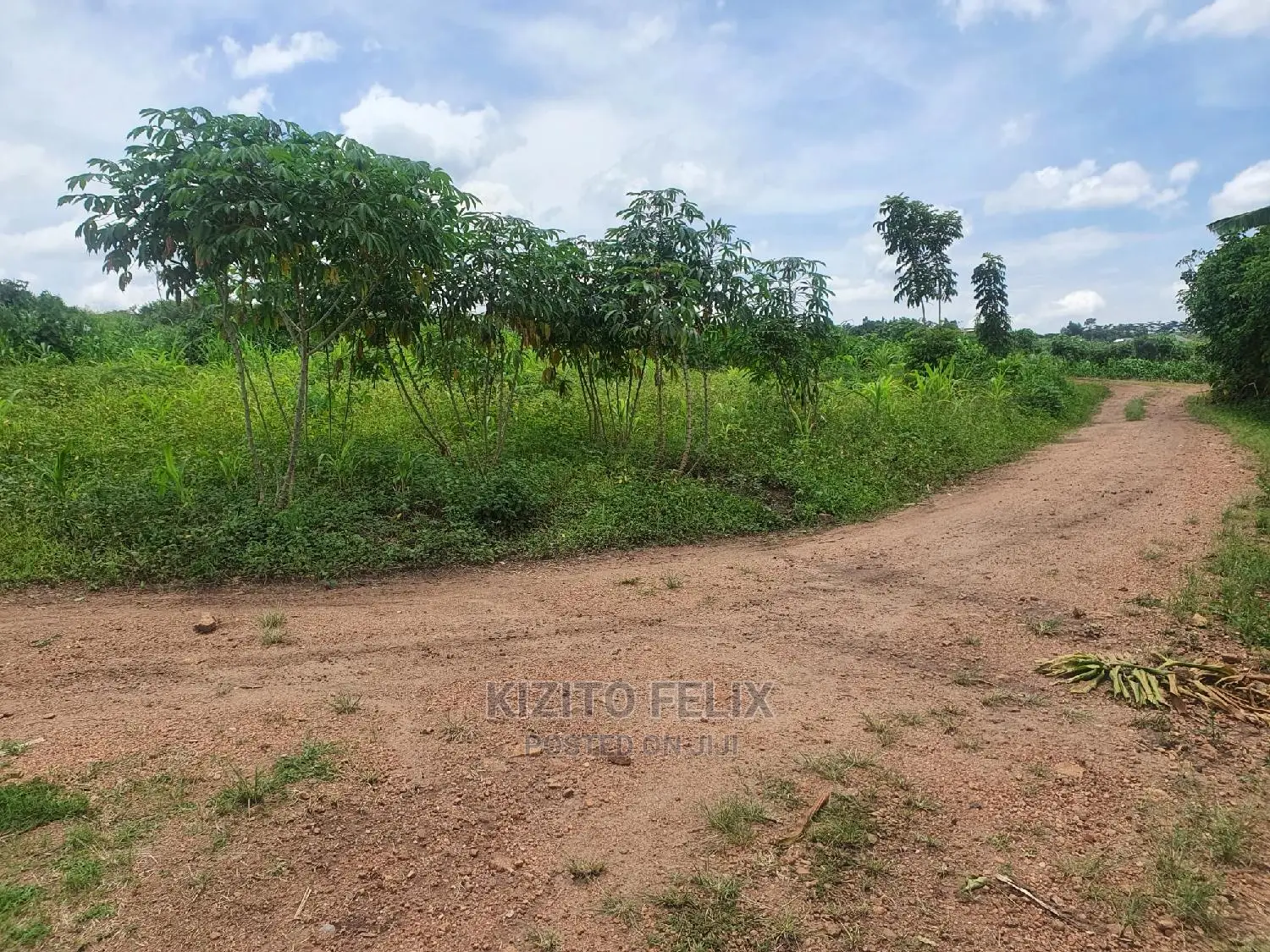100*50ft Plot in Sema Estate Buwambo. Ready Land Titles