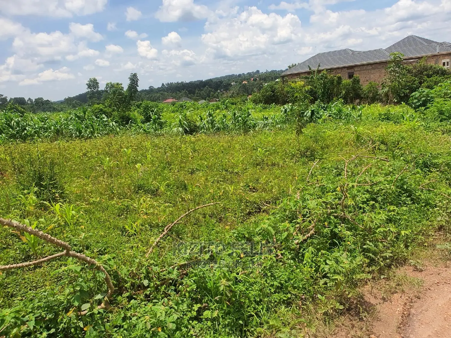 100*50ft Plot in Sema Estate Buwambo. Ready Land Titles