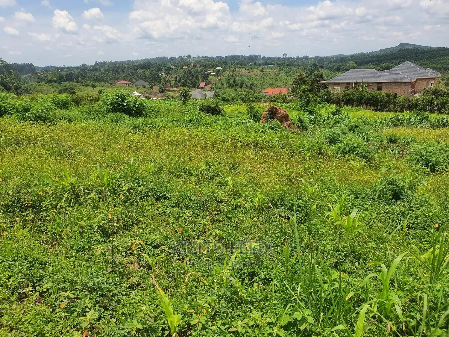 100*50ft Plot in Sema Estate Buwambo. Ready Land Titles