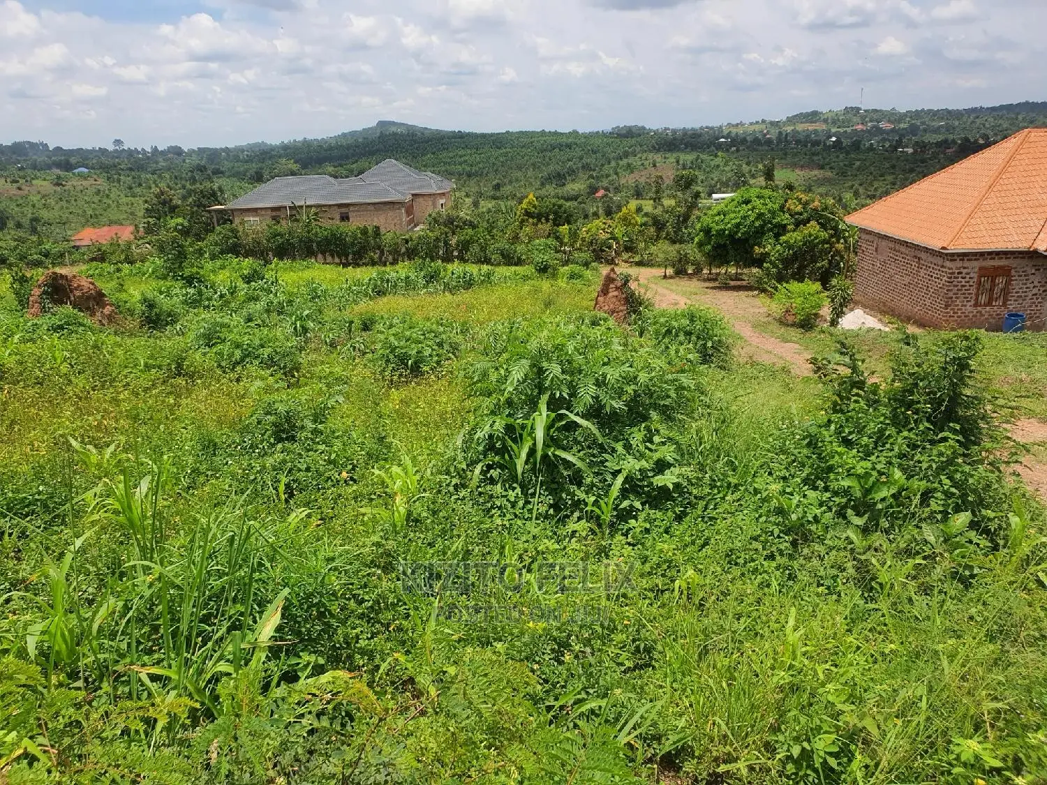 100*50ft Plot in Sema Estate Buwambo. Ready Land Titles
