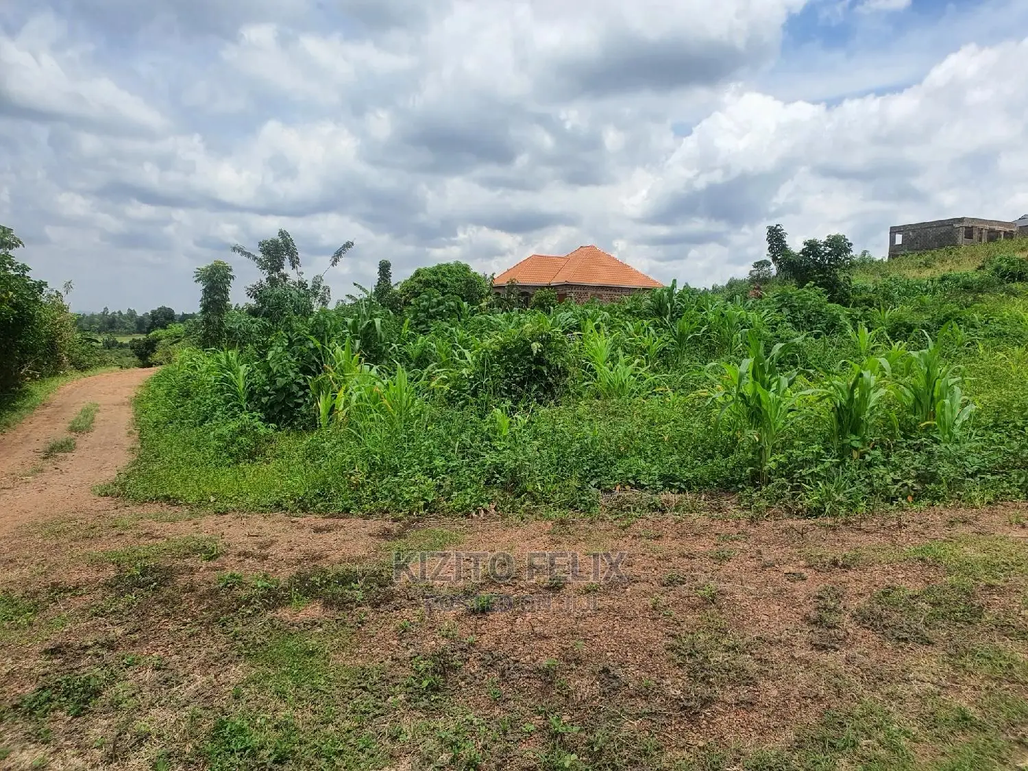 100*50ft Plot in Sema Estate Buwambo. Ready Land Titles