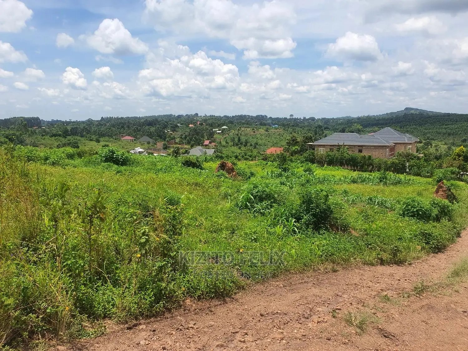 100*50ft Plot in Sema Estate Buwambo. Ready Land Titles