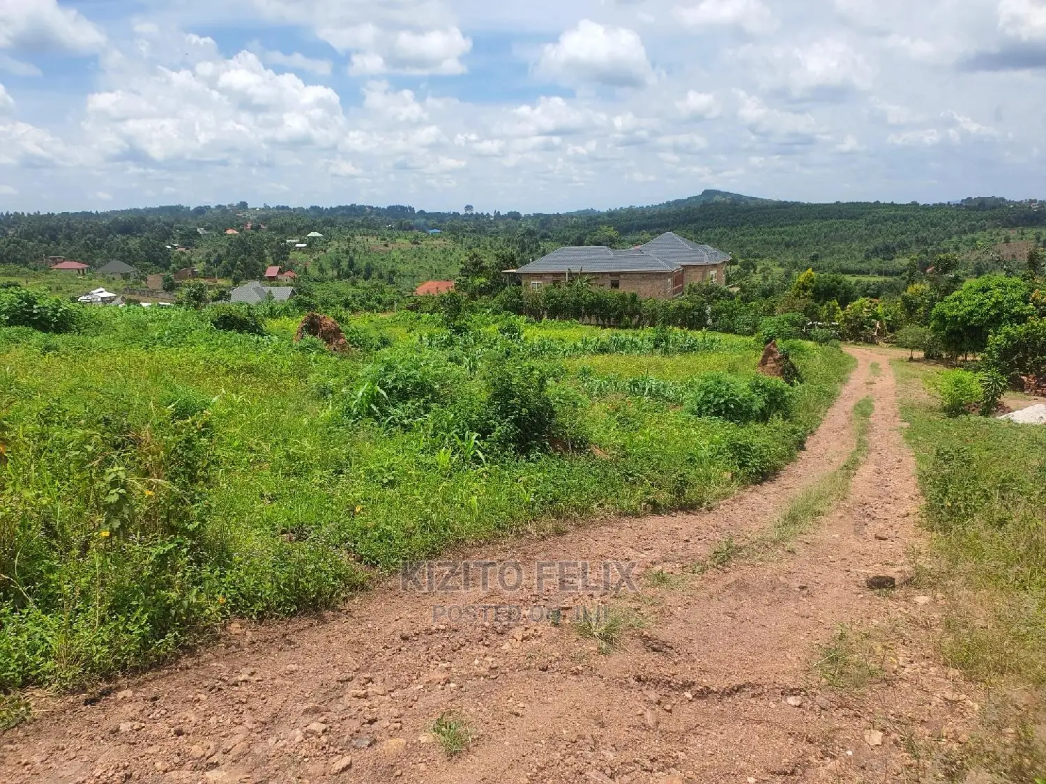 100*50ft Plot in Sema Estate Buwambo. Ready Land Titles