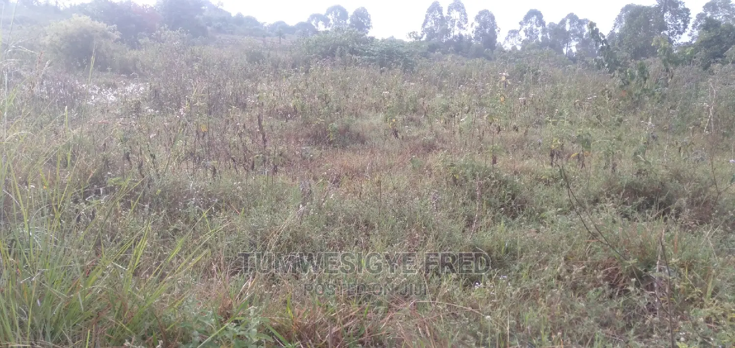 30 Acres of Land for Sale in Gomba