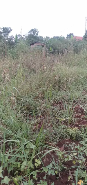30 Acres of Land for Sale in Gomba