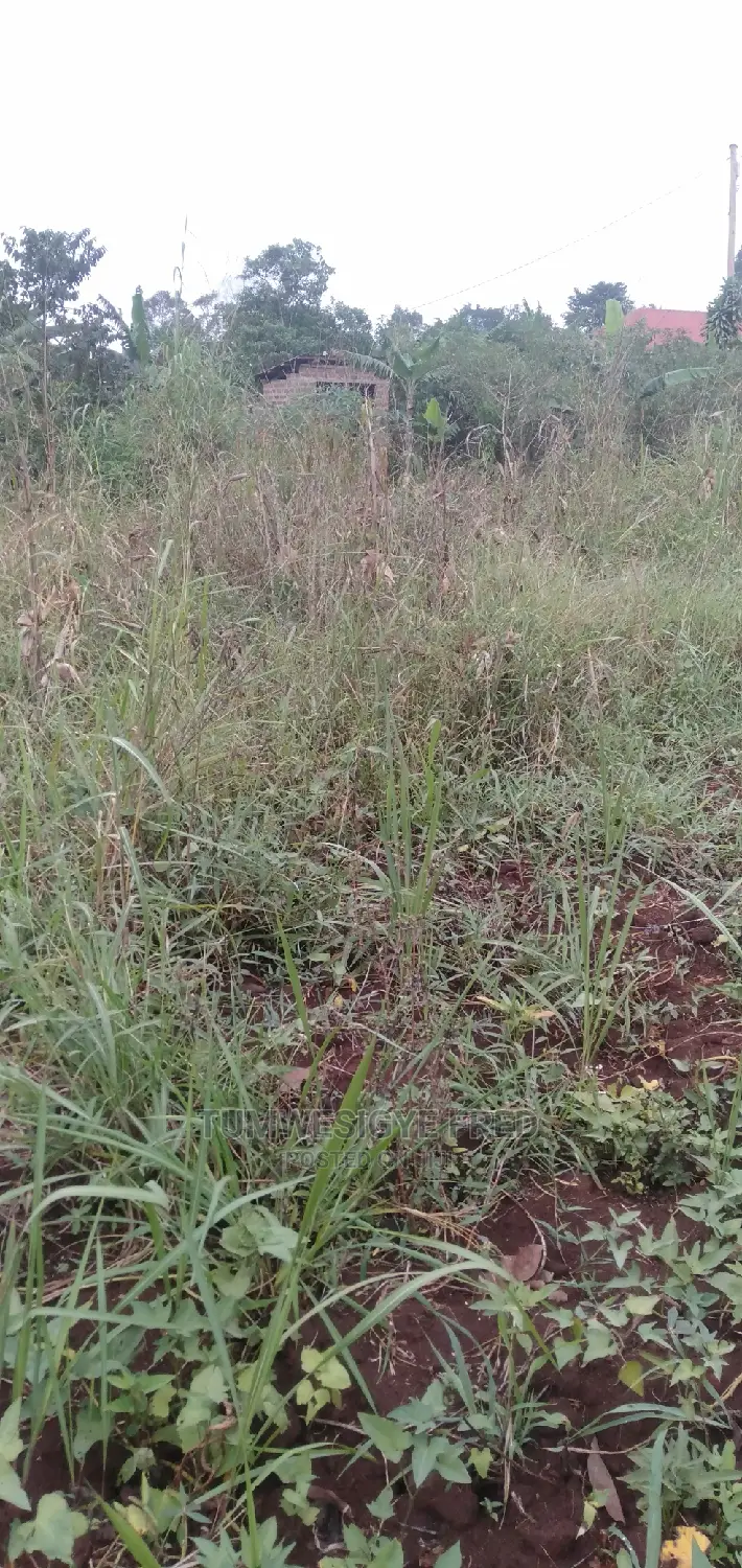 30 Acres of Land for Sale in Gomba