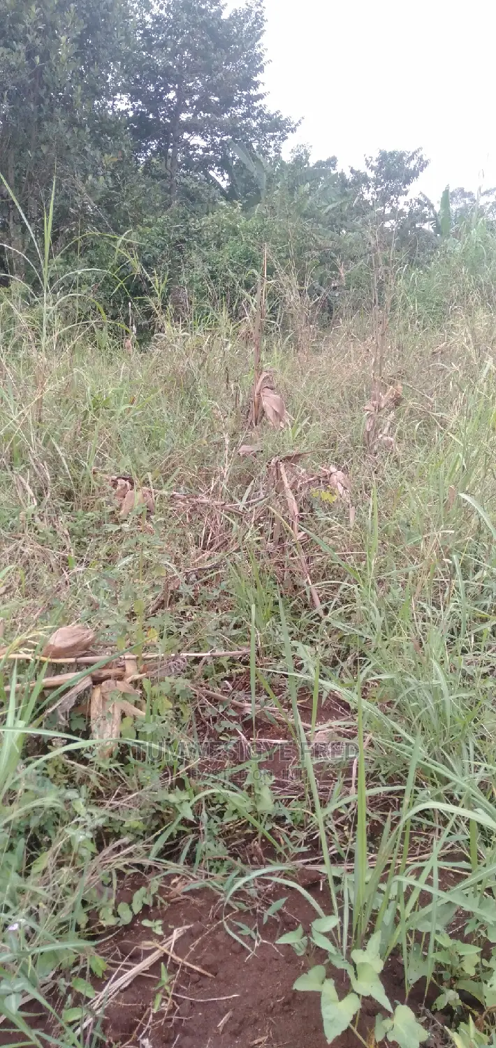 30 Acres of Land for Sale in Gomba