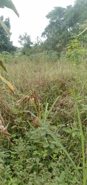 30 Acres of Land for Sale in Gomba