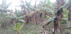 30 Acres of Land for Sale in Gomba