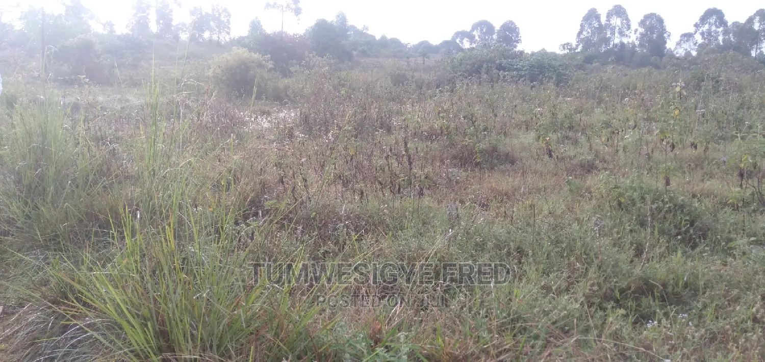 30 Acres of Land for Sale in Gomba