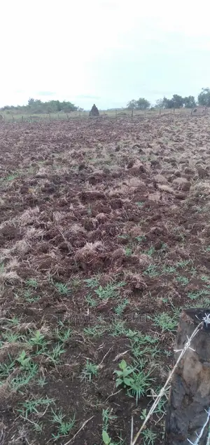 Land for Sale in Kamengo Masaka Road