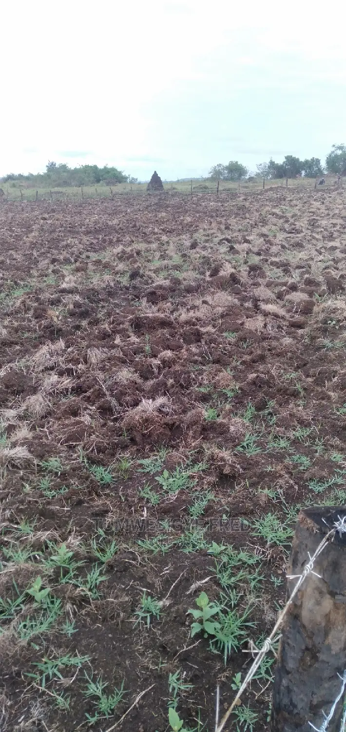 Land for Sale in Kamengo Masaka Road