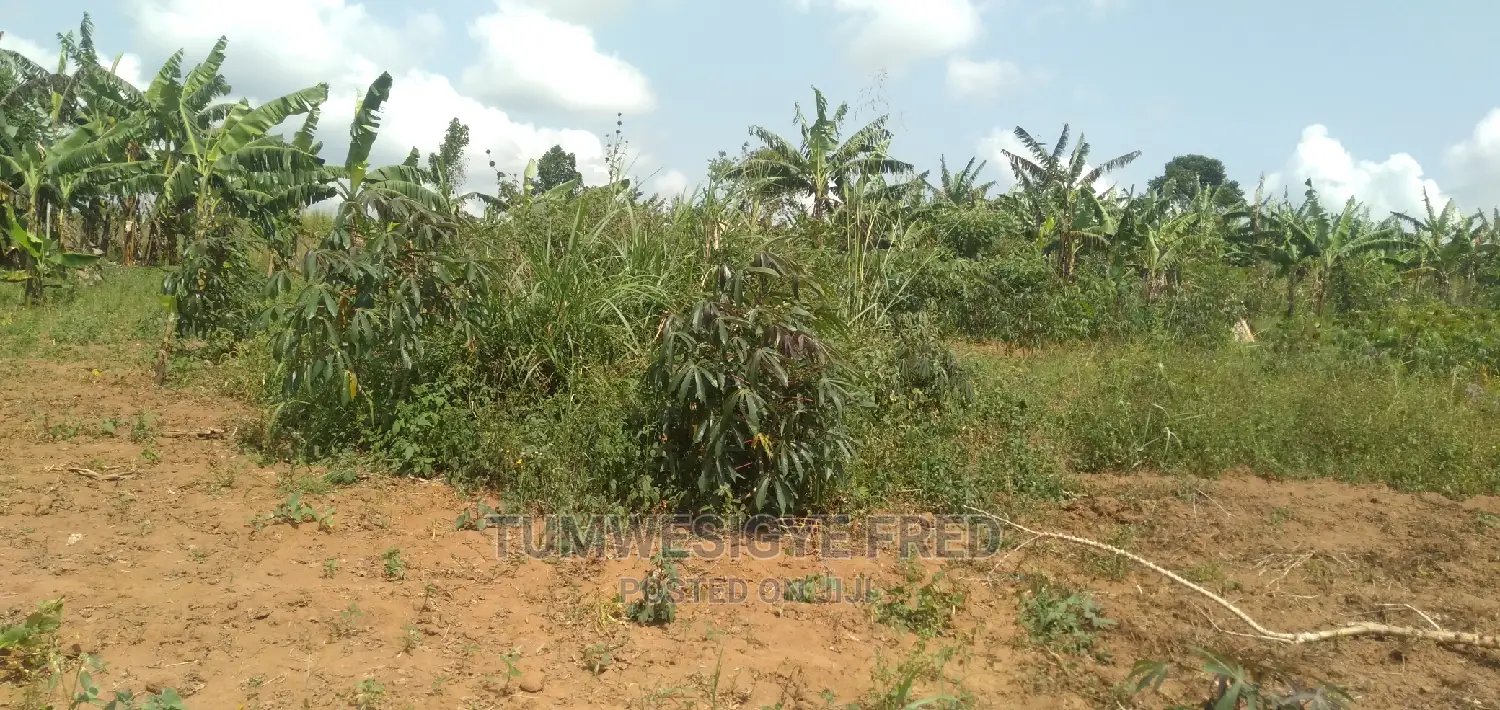 Land for Sale in Kamengo Masaka Road