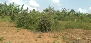 Land for Sale in Kamengo Masaka Road