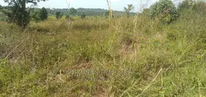 Land for Sale in Kamengo Masaka Road