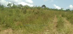 Land for Sale in Kamengo Masaka Road