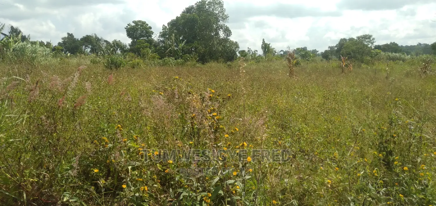 Land for Sale in Kamengo Masaka Road