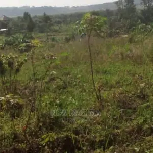3 Acres Forced Sale in Heart of Mpigi in Mitala Maria Titled