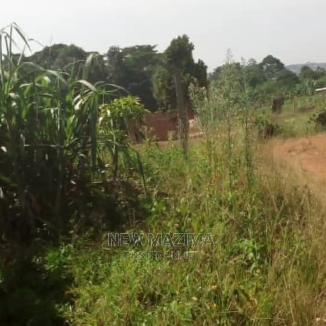 3 Acres Forced Sale in Heart of Mpigi in Mitala Maria Titled
