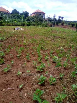 100x50ft Plot on Sale at Jogo 2