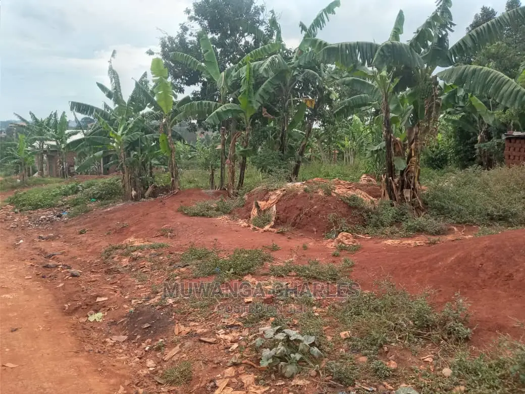 New Estate Plot of Land for Sale in Buwate