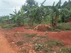 New Estate Plot of Land for Sale in Buwate
