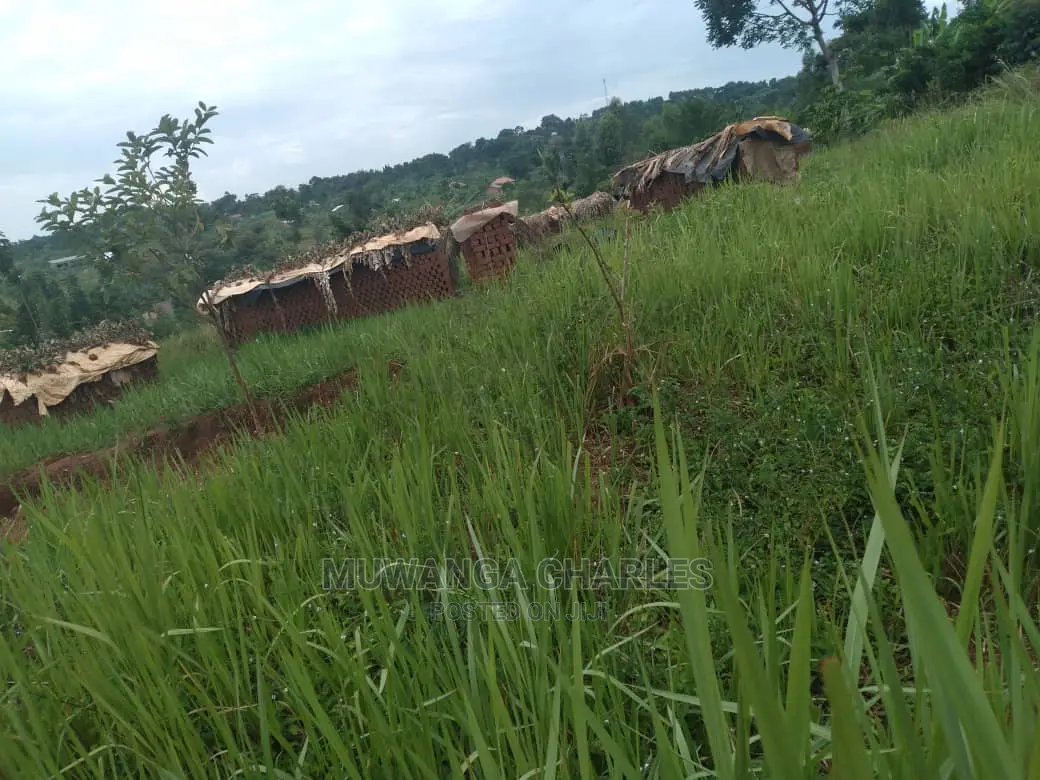 100x70ft Plot of Land for Sale in Kyanja Kungu